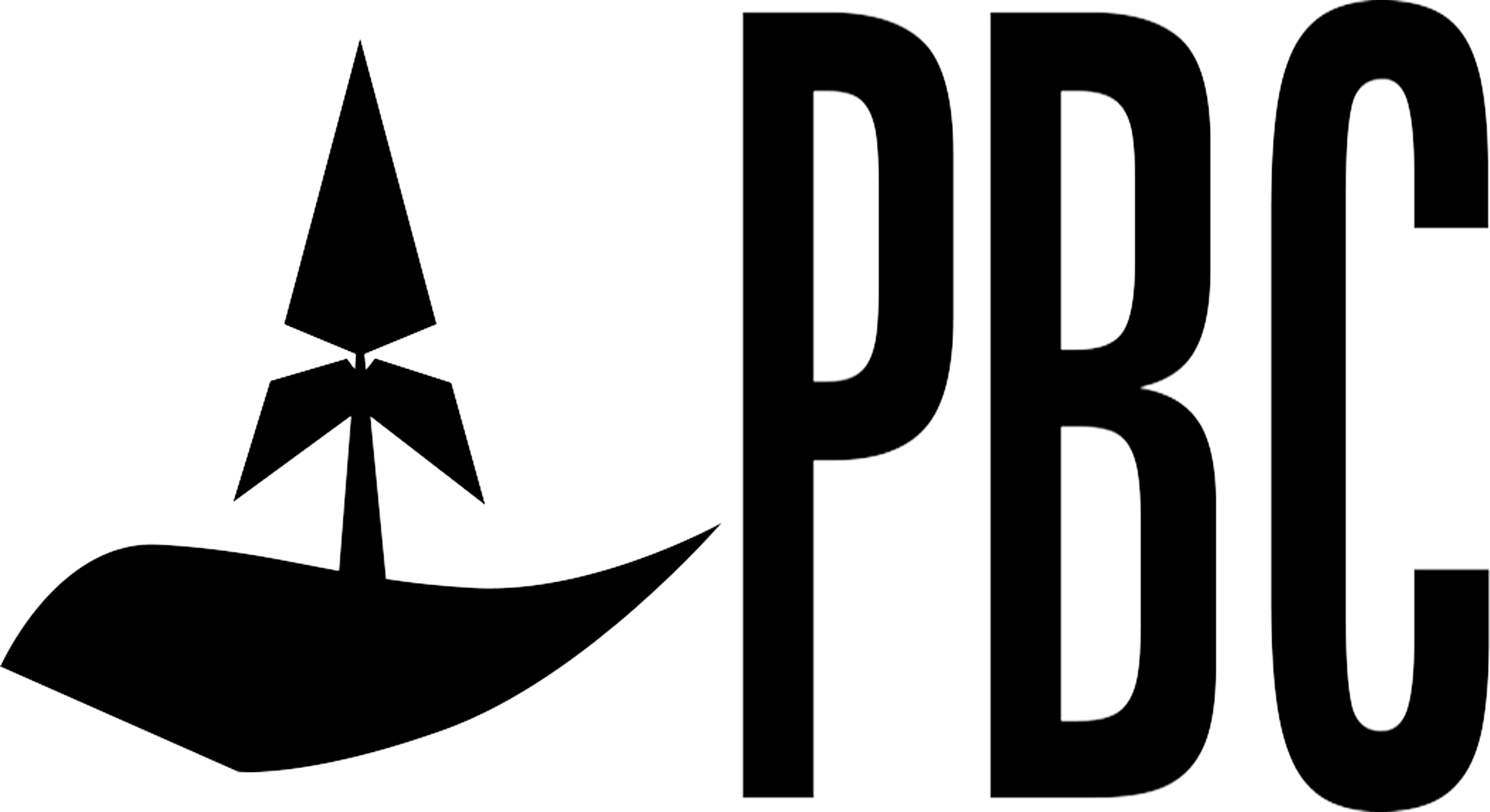 Peter Boylston Capital LLC